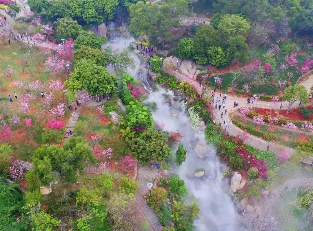 厦门旅拍攻略路线推荐一下,快来get旅游照怎么拍