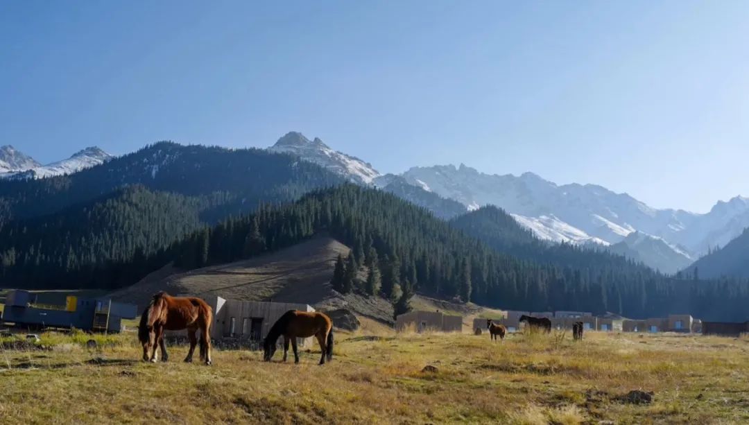 霸气!提前2月预定,仅15间客房,*疆新**这个酒店,够野还够奢