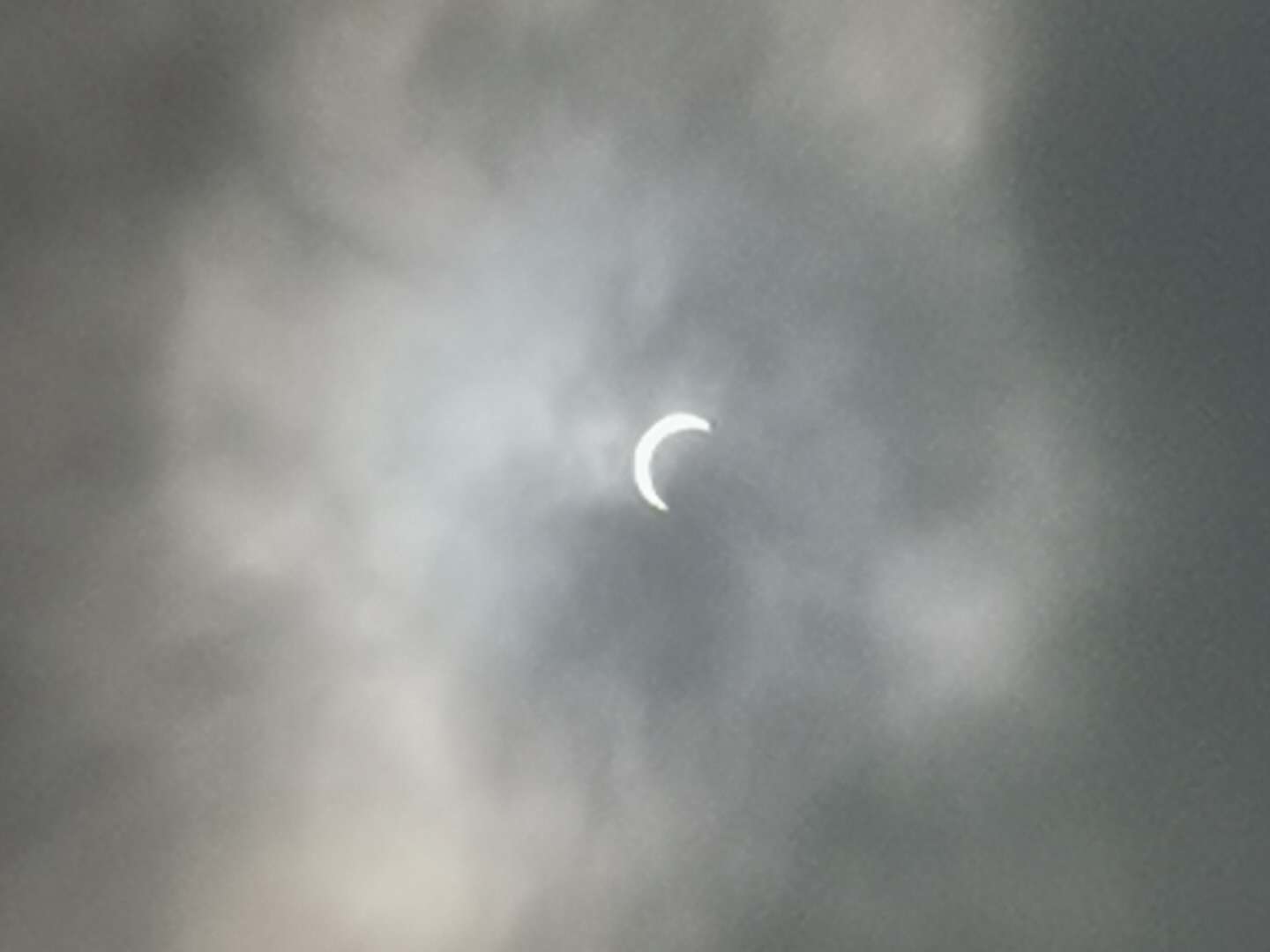 《中国诗歌周刊》2020年父亲节专刊(二)