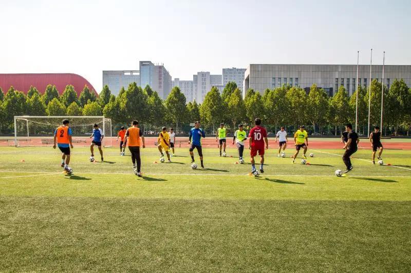 专业解读|体育教育、运动康复、运动训练、武术与民族传统体育