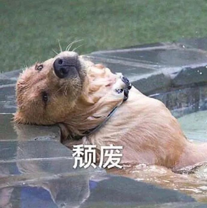 双11卖假货被抓的主播,双十一薇娅翻车商品