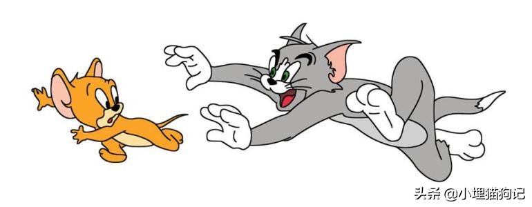 猫喝纯牛奶有危害吗,猫喝牛奶有危害吗