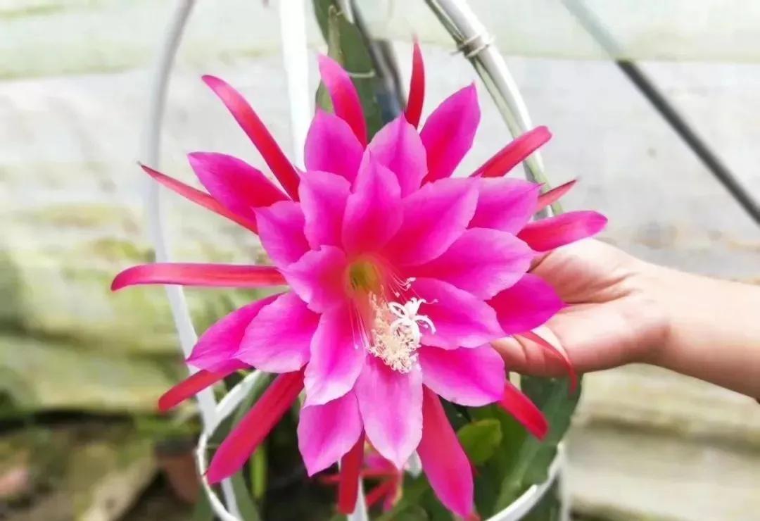 安徽滁州风景美如画,滁州市美景