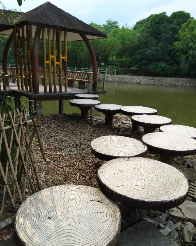 南宁狮山公园以前是尸山吗,广西南宁狮山公园现状