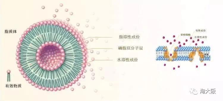 黛珂璀璨花火款,黛珂顶级精华