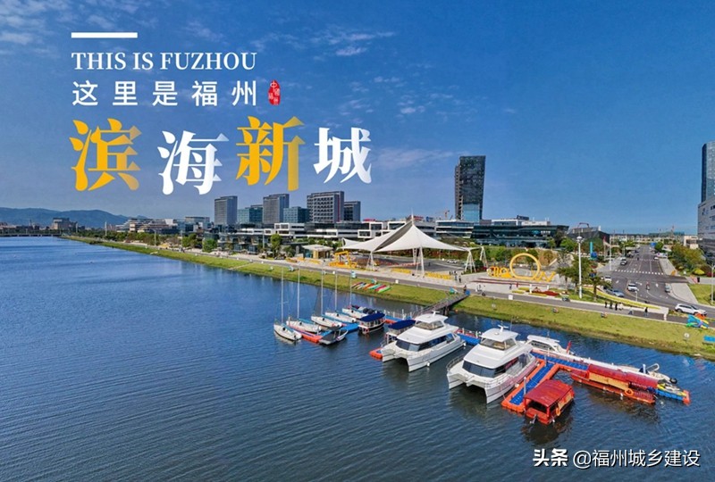 过去十年和未来五年,过去十年未来十年