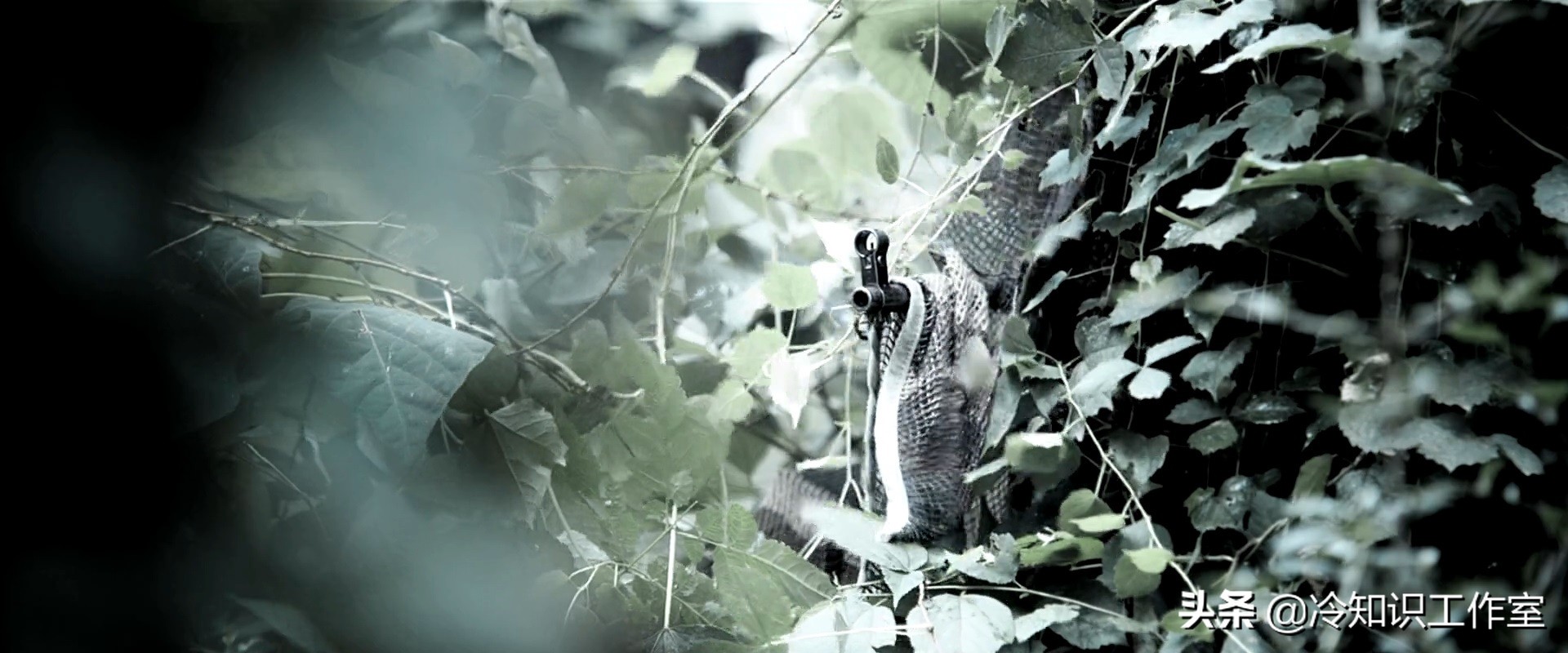 战狼二解说介绍枪械,战狼2枪械训练视频