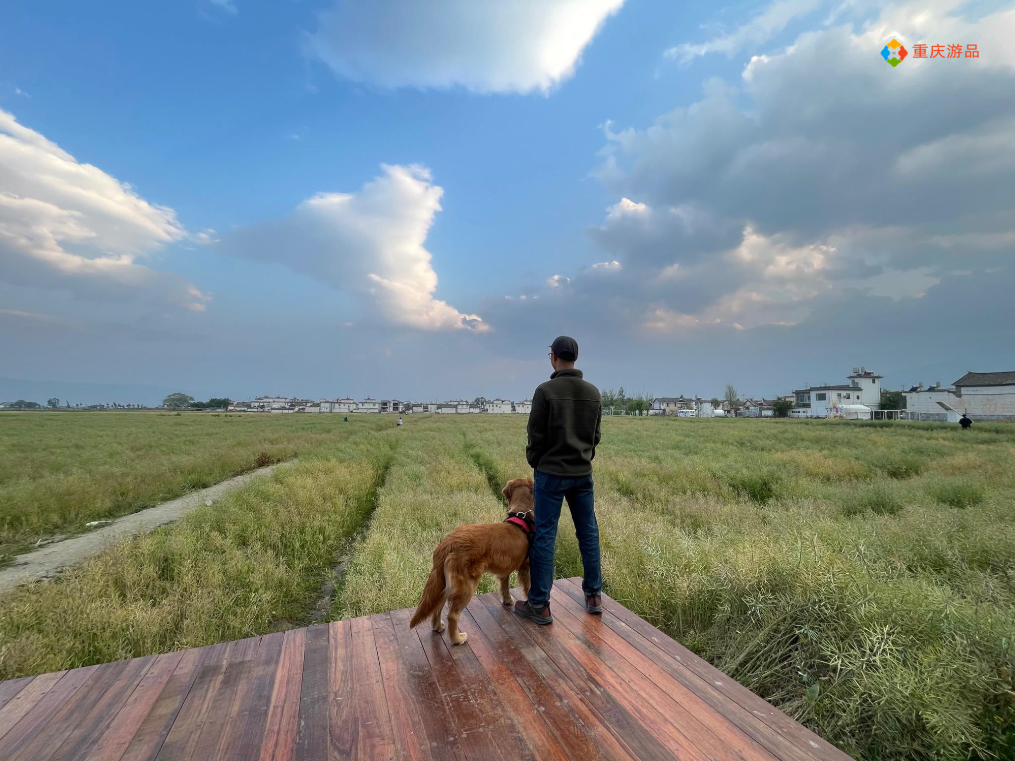 浜戝崡澶х悊鍋堕亣瓒呰窇,澶х悊鍋堕亣瓒呰窇