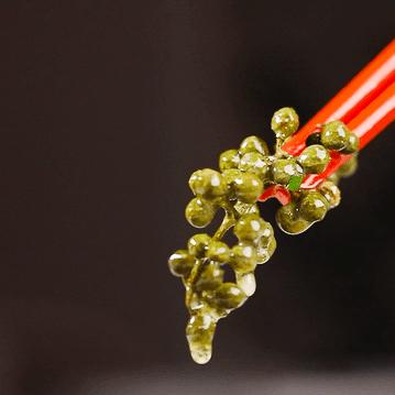 别再说禄鼎记变了,它只是“骚”出花样了