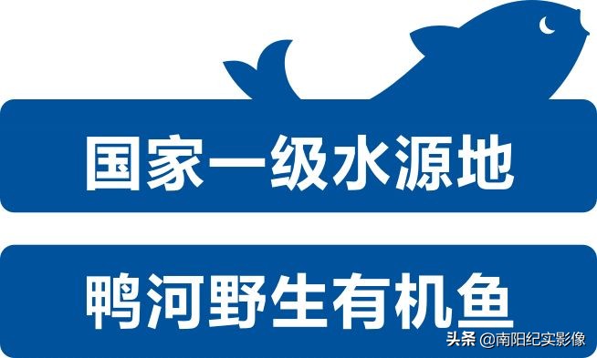 盛世开元喜宴酒店草原兴发,盛世开元草原兴发店