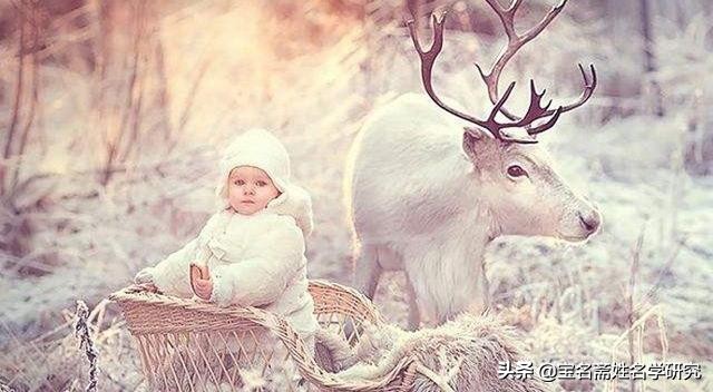 从怀孕到孩子出生的感受,从怀孕到生产的计划