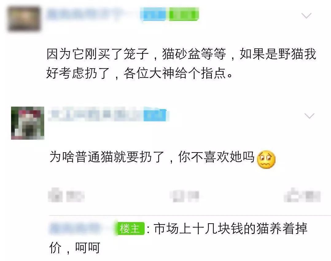 十块钱就能买一只狸花猫是真的吗,几十元的狸花猫能养吗