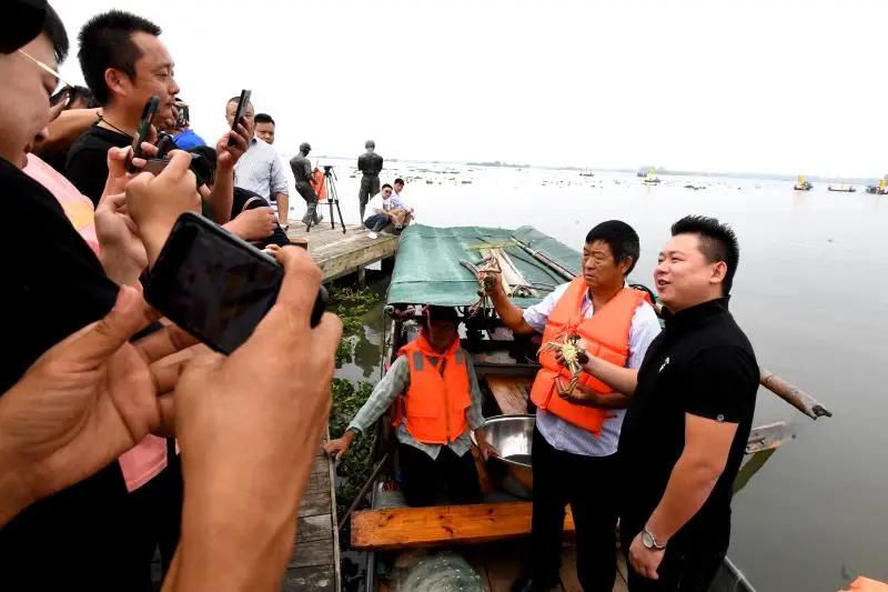 大纵湖大闸蟹价格表,大纵湖大闸蟹今日价格