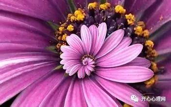 常见的有规律的事物,一些规律完整版