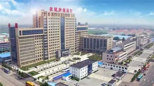 权健最新官方消息,权健为什么被封杀