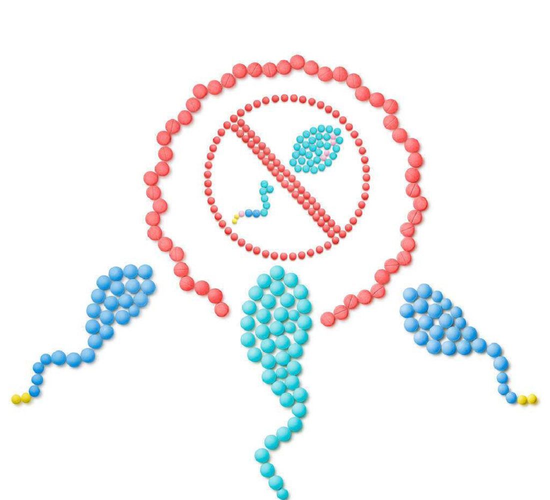 那些没有与卵子结合的精子,都跑去哪里了?对女性身体有影响吗?