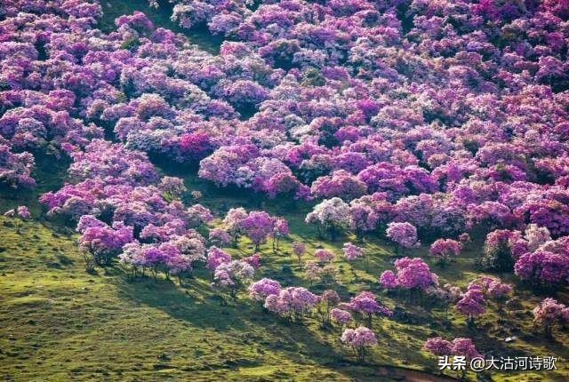 致敬中国英烈诗词,纪念先辈缅怀英烈的诗句