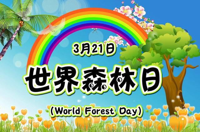 有哪些原始森林公园可以去玩,世界森林公园美景视频