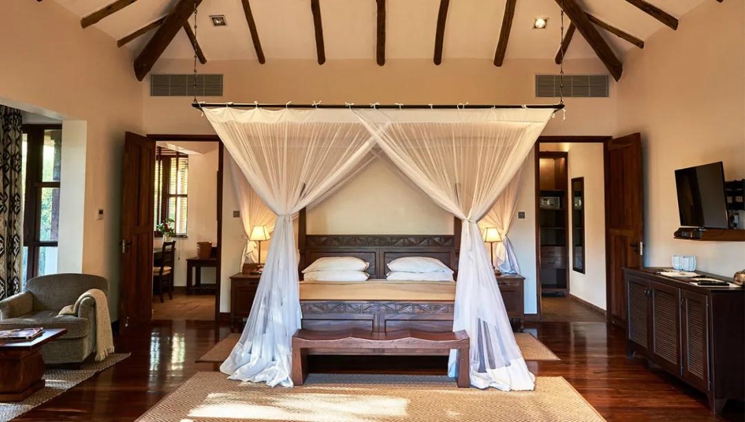 世间稀有的白色长颈鹿母子，在非洲被残忍猎杀，发现时只剩骨骼