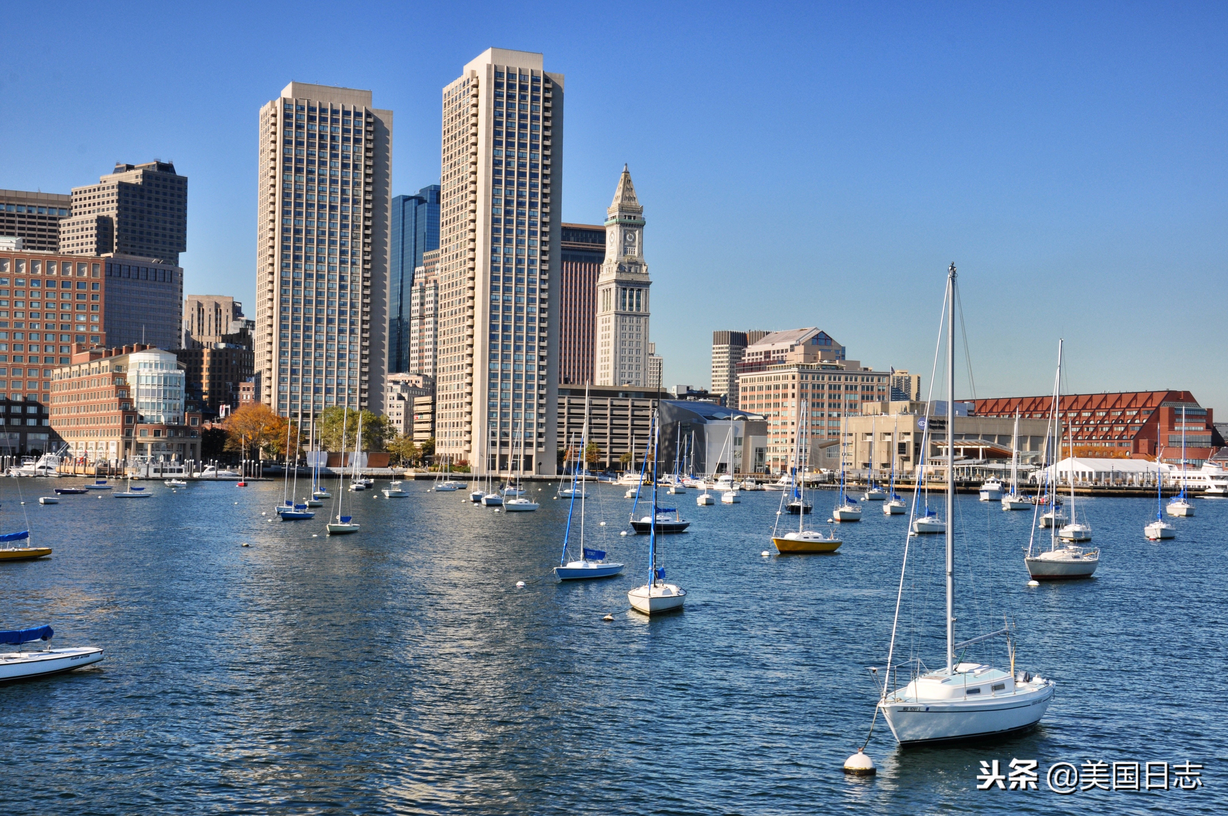 爱尔兰裔美国人,爱尔兰裔美国人是一种怎样的存在