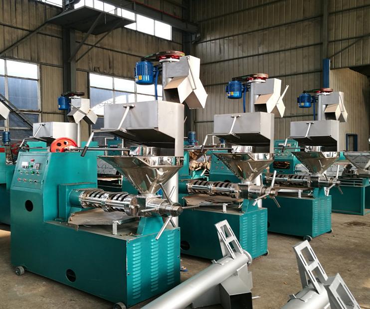 大型榨油机最新款全自动设备,油菜籽榨油机最新款全自动设备