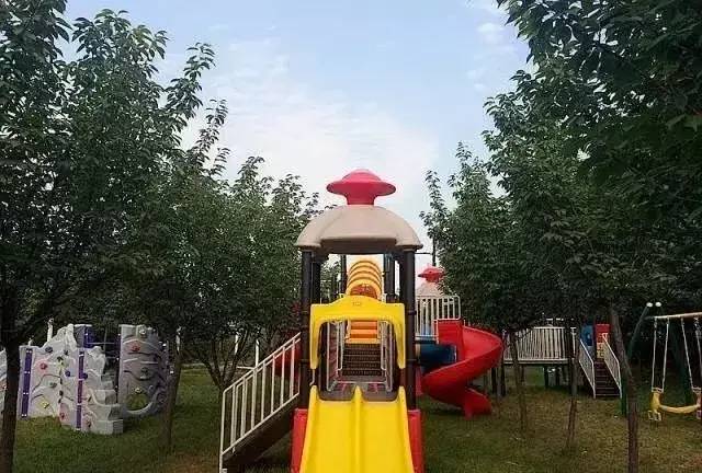 洛阳温泉什么时候开业,洛阳新区温泉