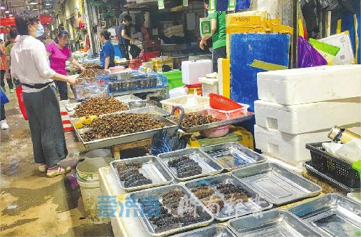 济南市海参专卖店价格,济南海参虫草滋补养生市场