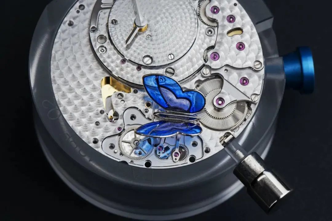 蝴蝶高级珠宝首饰,精美的蝴蝶珠宝