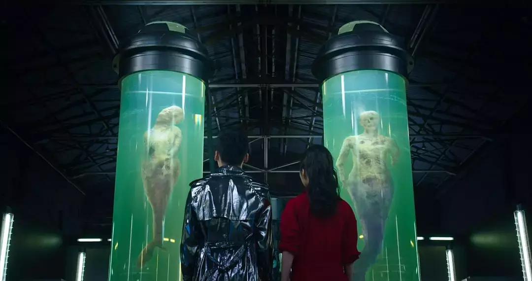 国内票房排名前十名的电影,国产电影票房排行榜最新