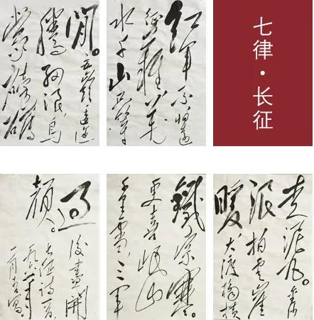 健笔凌云意纵横｜浅议毛*东泽**书法的高度