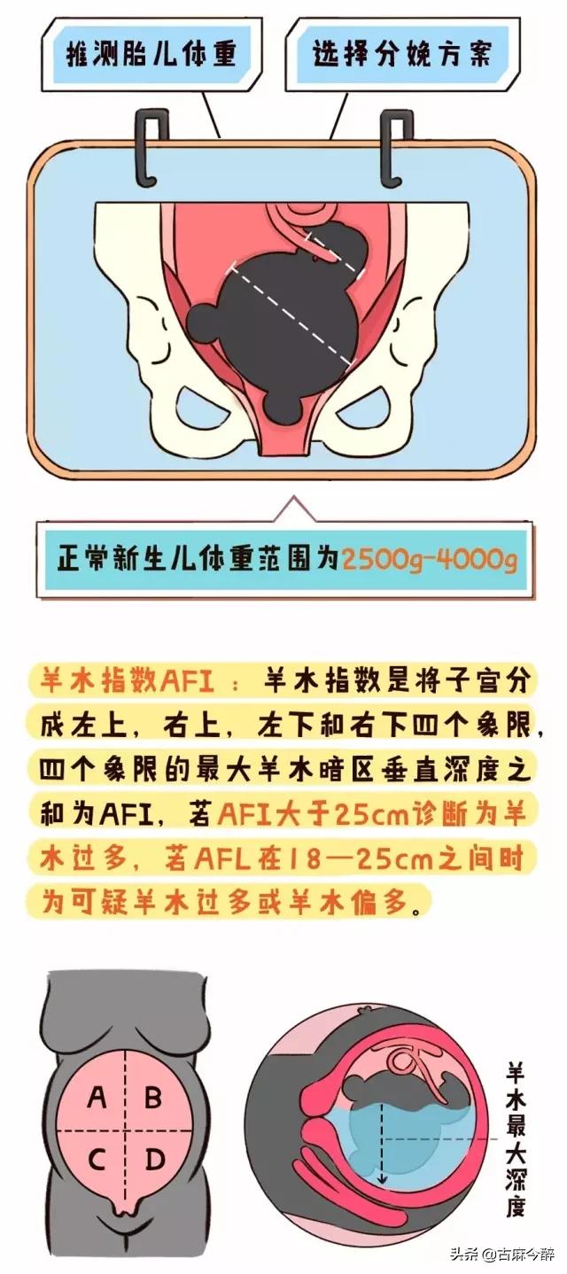 一分钟看懂孕检b超图,一秒教你看懂孕检化验单