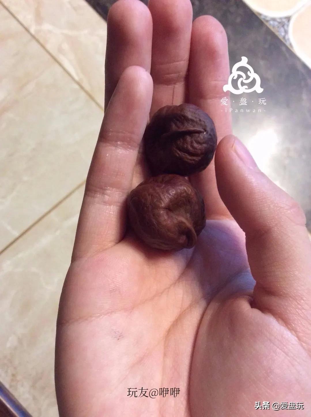 栗子，也能玩？这算啥，看看我玩的