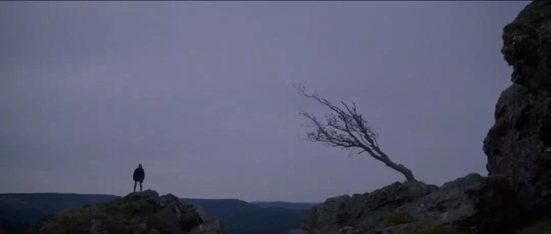 这部大尺度的女权电影，结尾的神反转让你心悸！