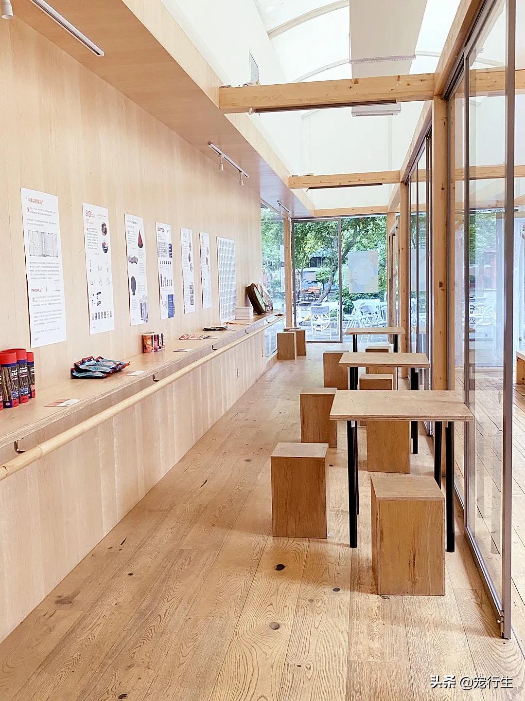 这家宠物快闪集市，怎么拍都好看，学会用宠物视角看世界