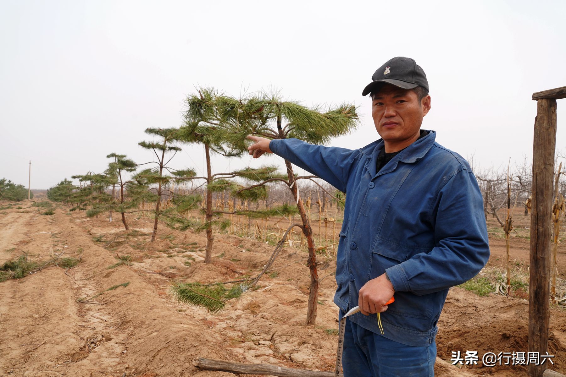 农村小伙创业项目大全视频,山西农村创业项目种植