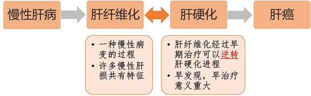 肝纤维化怎样有效逆转,肝纤维化怎么治疗有效果啊