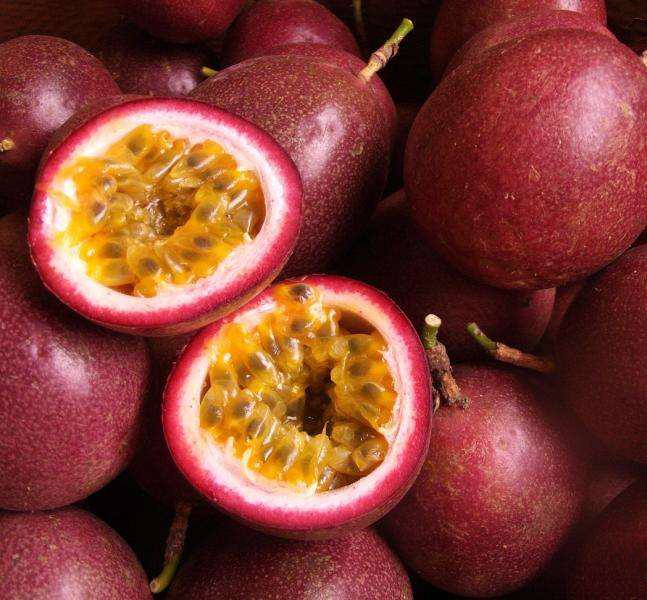 西双版纳原始森林各种好吃的水果,西双版纳必吃的水果有哪些