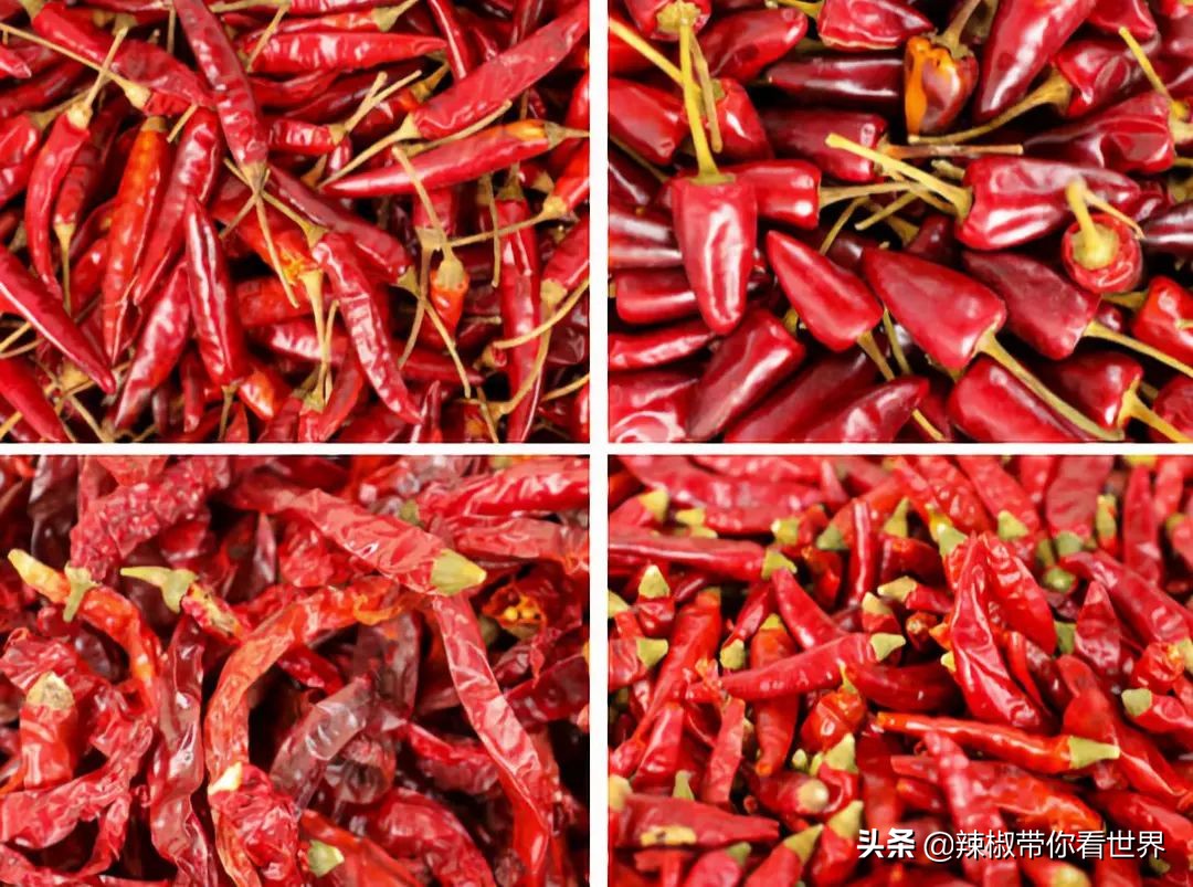 从西到东:贵州——沿河流“黔”行在这里一万种辣椒吃法向你奔来