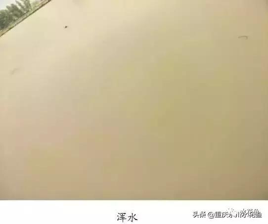 水产养殖水质评价标准,水产养殖水质怎么查看的