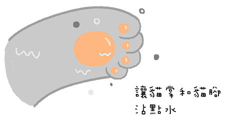 喵星人冬天自救指南,怎么样能帮猫咪降温蚂蚁森林