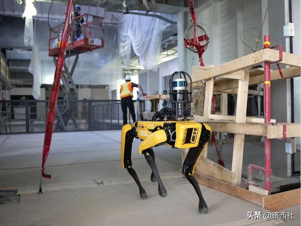 养狗嘛?53万、世界首富同款