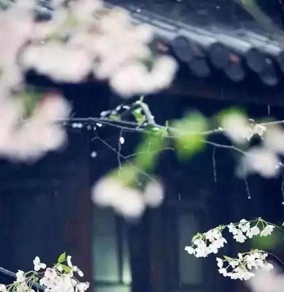 为人处世智慧增广贤文,处世奇书《增广贤文》原文