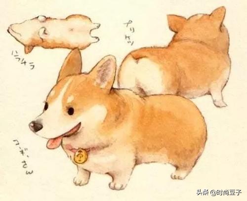 痘肌混油皮适合的补水喷雾,适合油痘肌的四大神水