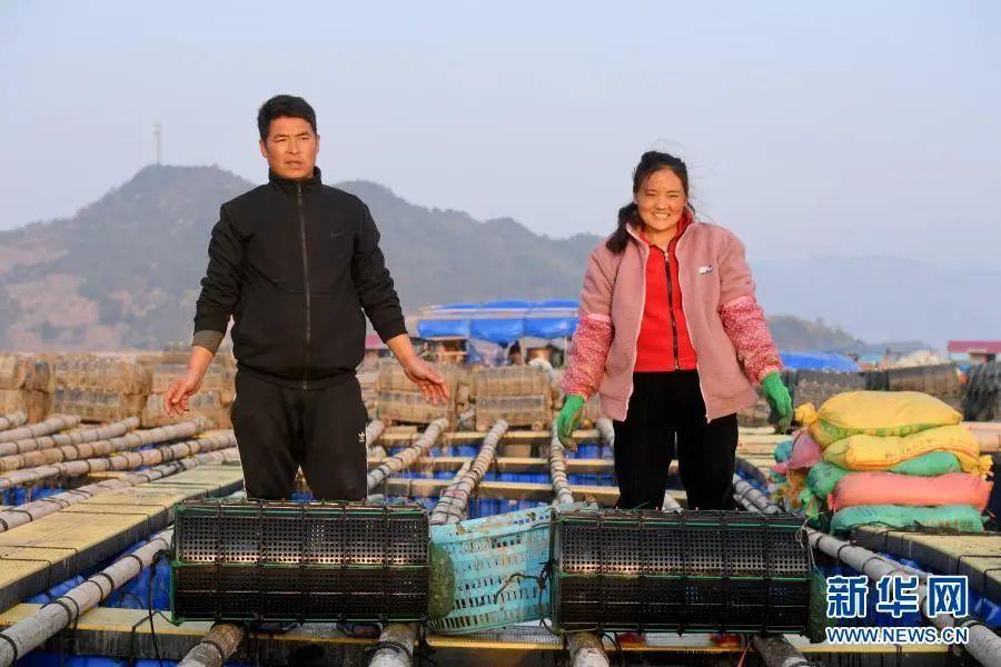 彪炳史册的脱贫攻坚战,伟大壮举中国脱贫攻坚成就展视频