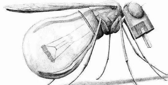 美女头像创意素描作品,素描鱼创意作品