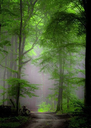 微信怎么设聊天背景,烟花聊天背景图微信