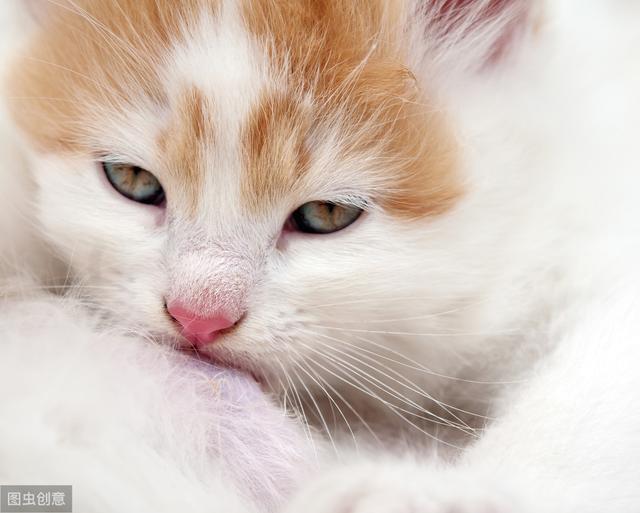 卡西欧计算器手机版app特色,手机卡西欧计算器