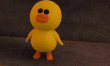 萌到爆炸的小鸡,萌到爆炸的萌货