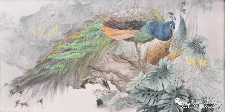 工笔孔雀上色步骤详解,工笔最顶级逼真孔雀画精品