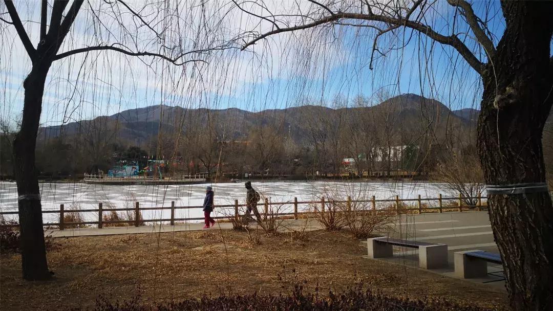 美美美！海淀这个地儿，万株兰花惊艳来袭，你招架的住吗？